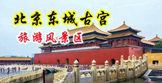 日韩男女肏屌免费视频网站中国北京-东城古宫旅游风景区